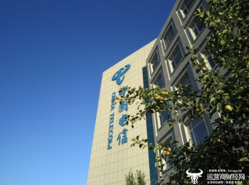 吉林電信政企事業群總經理王卓從長春電信副總提拔 曾兼任部門副總