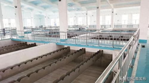 長春神環(huán)科技有限責(zé)任公司 構(gòu)建環(huán)保產(chǎn)業(yè)共生成長新生態(tài)